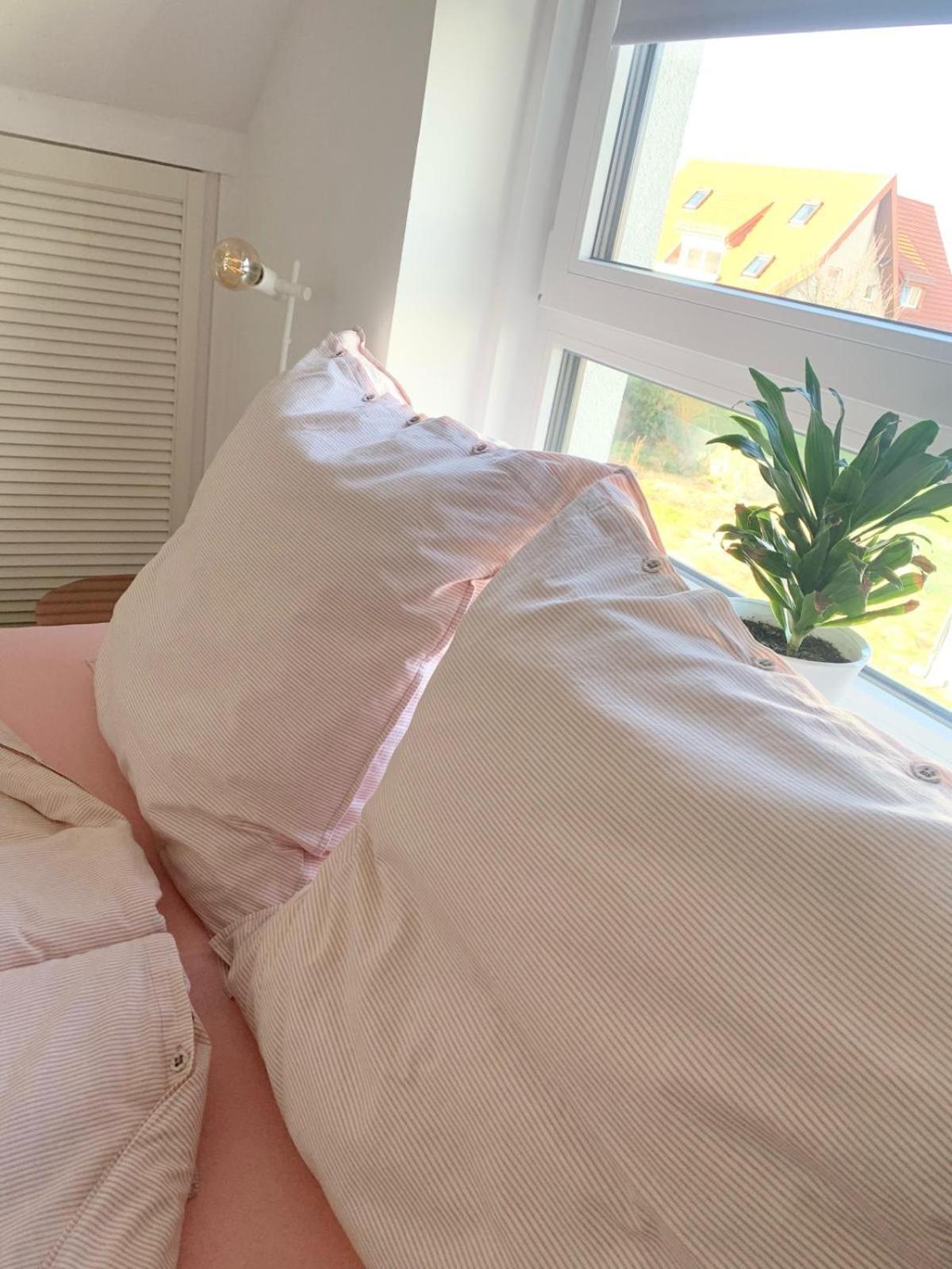 Casa Diego, Kleines Gemuetliches Haus Mit Garten Bielefeld Ngoại thất bức ảnh